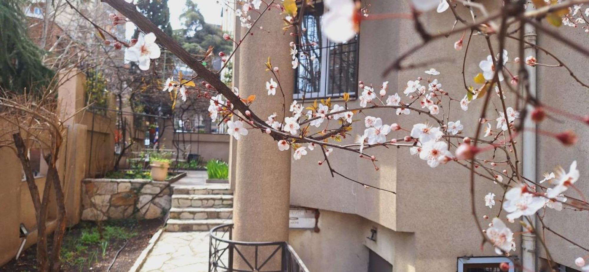 Iliani Hotel Тбілісі Екстер'єр фото